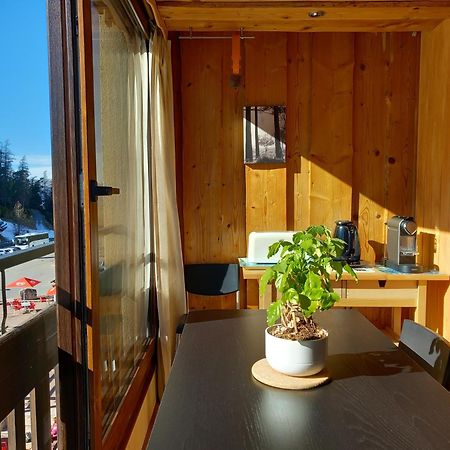 Apartament Tres Agreable 2 Pieces Au Pied Des Pistes Valdeblore Zewnętrze zdjęcie