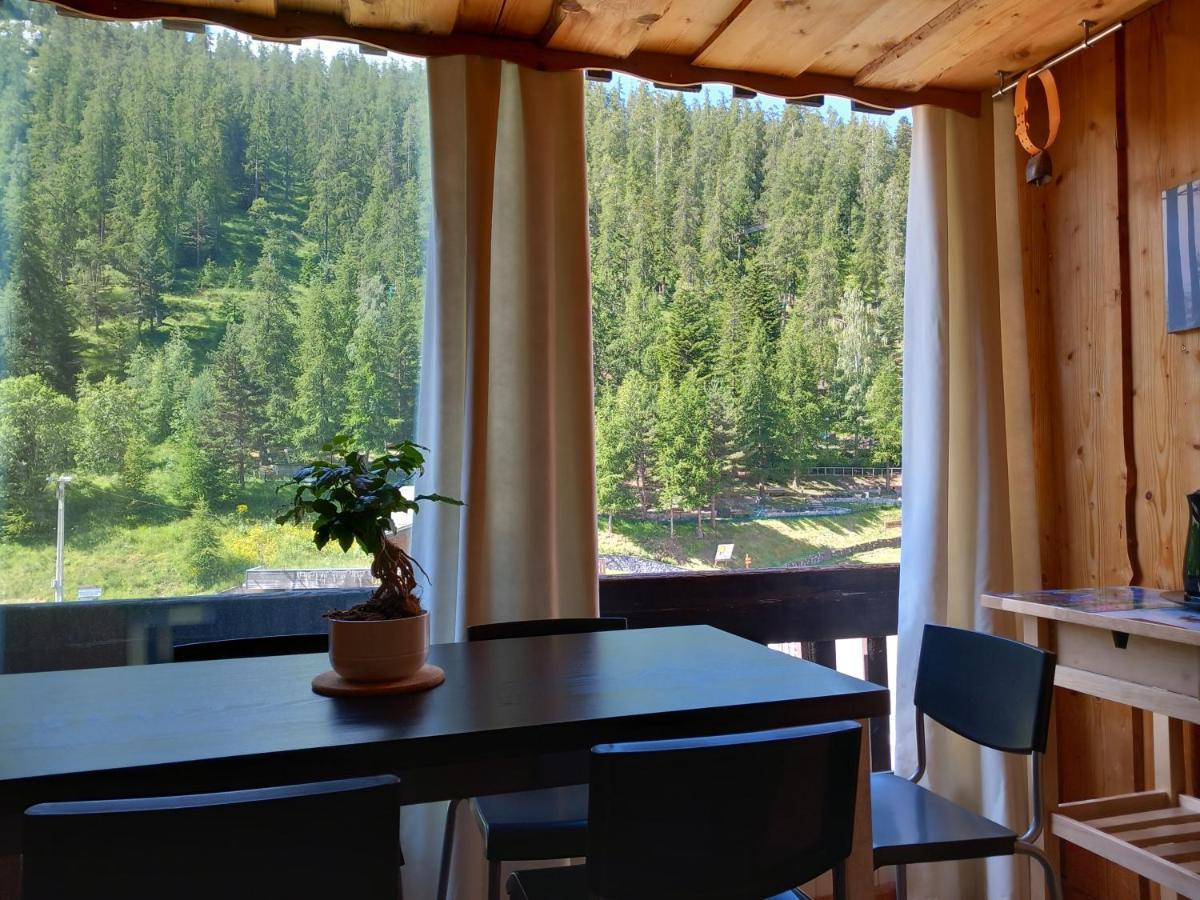 Apartament Tres Agreable 2 Pieces Au Pied Des Pistes Valdeblore Zewnętrze zdjęcie